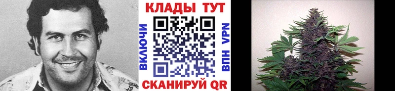 Виды наркотиков купить Кемерово МДМА  Канабис  Псилоцибиновые грибы  Мефедрон  COCAIN  A-PVP  Гашиш 