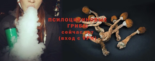 шишки Бугульма