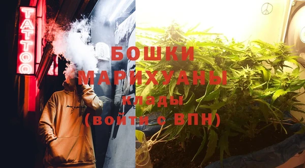 шишки Бугульма