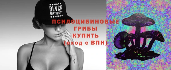 шишки Бугульма